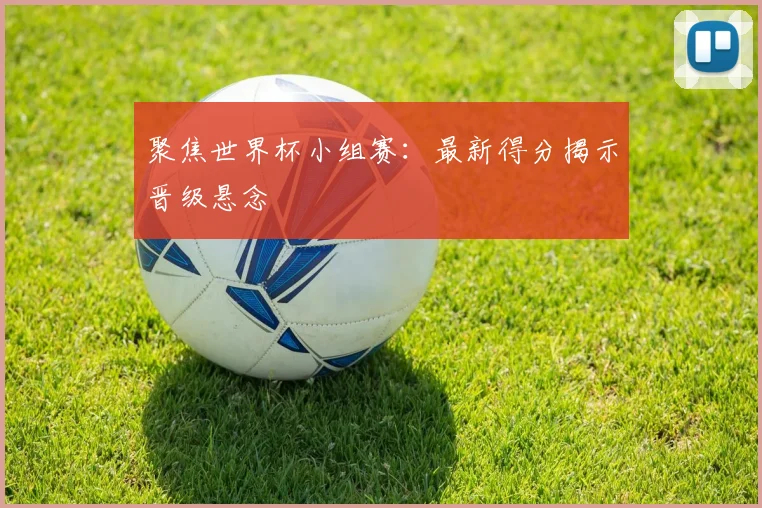 聚焦世界杯小组赛：最新得分揭示晋级悬念