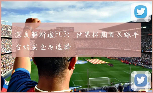 深度解析逾FC3:世界杯期间买球平台的安全与选择