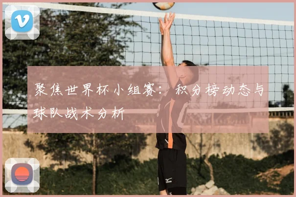 聚焦世界杯小组赛：积分榜动态与球队战术分析