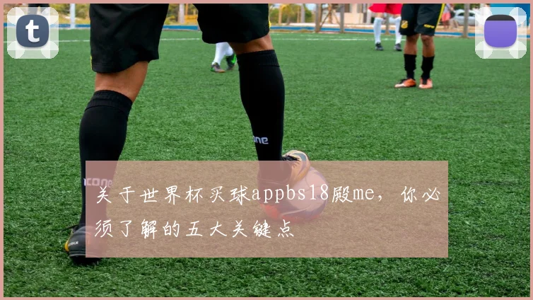 关于世界杯买球appbs18殿me，你必须了解的五大关键点