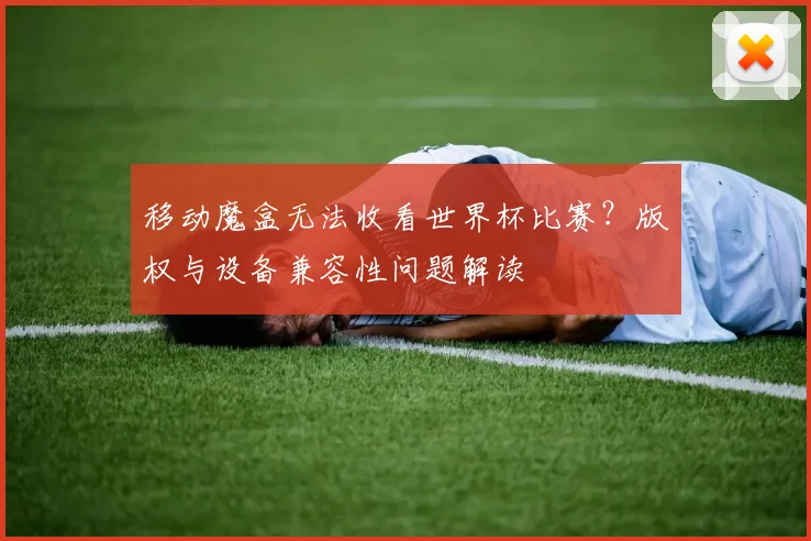 移动魔盒无法收看世界杯比赛？版权与设备兼容性问题解读