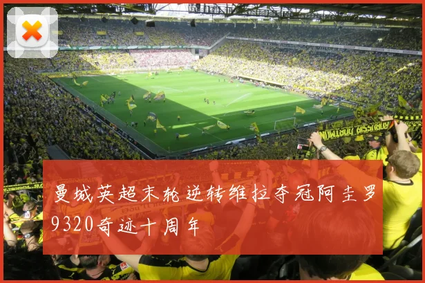 曼城英超末轮逆转维拉夺冠阿圭罗9320奇迹十周年