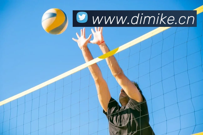 完美体育唯一官网发展历程